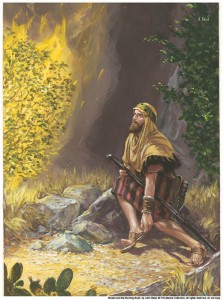 Mose-mormon