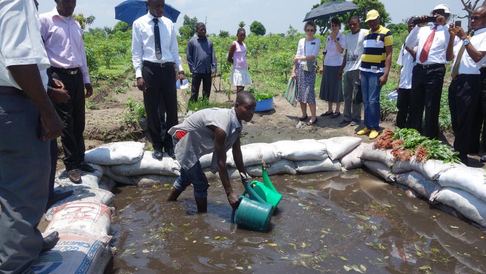 GIARDINO-IN-CONGO