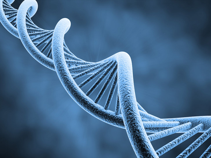 DNA e il Libro di Mormon