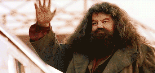 Calice di Fuoco Hagrid