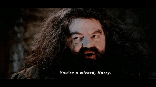Pietra filosofale Sei un mago di Harry