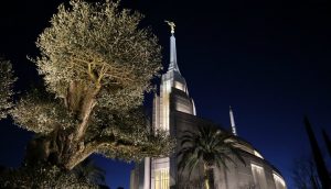 Apertura al Pubblico del Tempio di Roma: 13 testimonianze, 1 sentimento comune