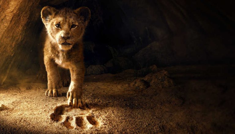 il re leone