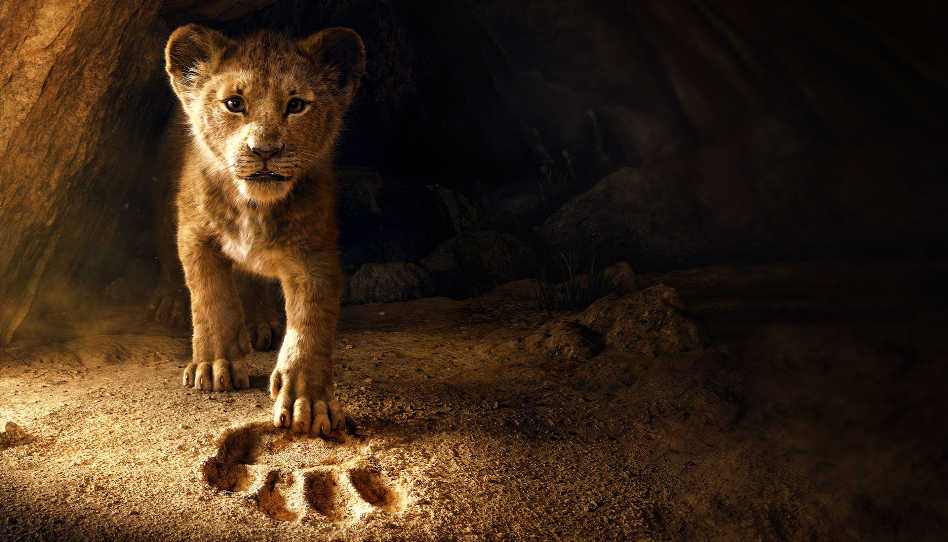 il re leone