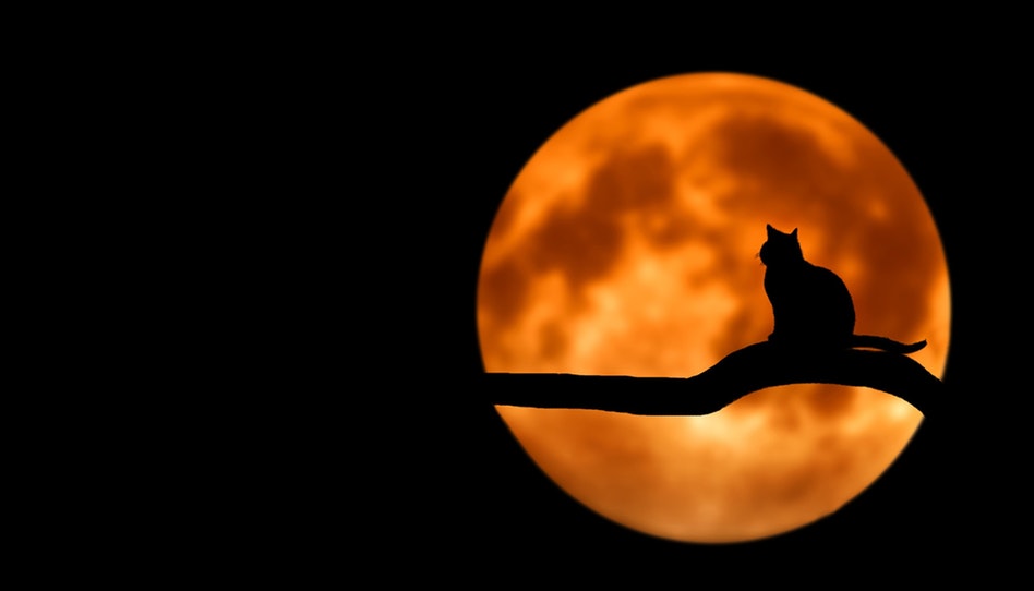 Cosa dice di Halloween la Chiesa