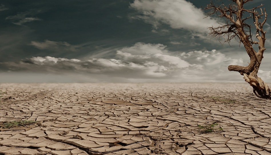 tornare a Cristo deserto