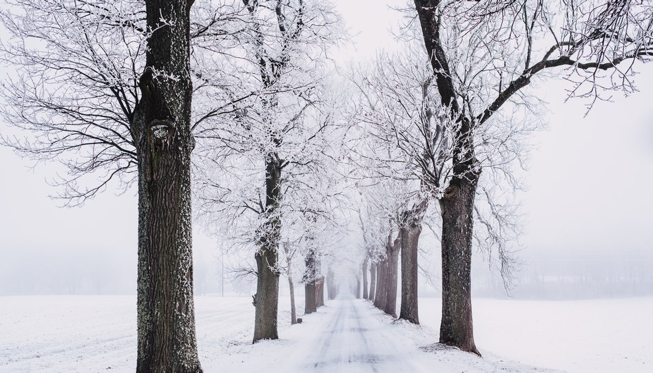 A volte ci disperiamo durante gli inverni della nostra vita