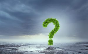 Trovare le risposte fuori dagli schemi