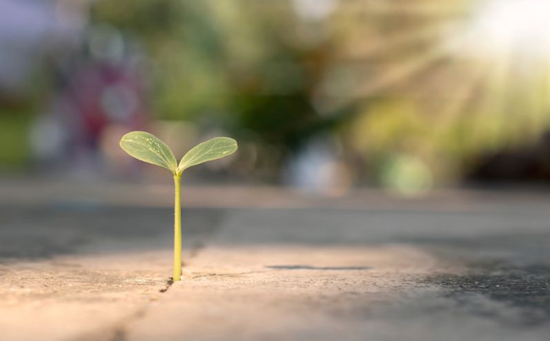 Quattro passi per accrescere la pazienza