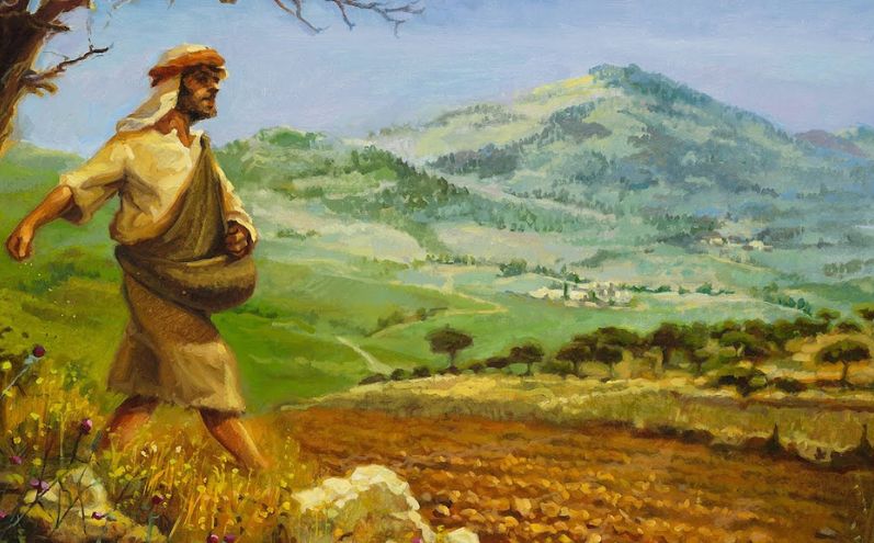 La parabola del seminatore