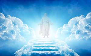 Eredi di Dio e coeredi di Cristo