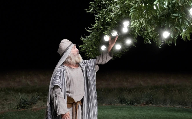 frutto dell'albero