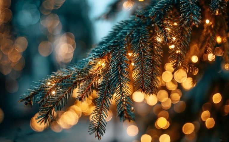 vero significato del Natale 